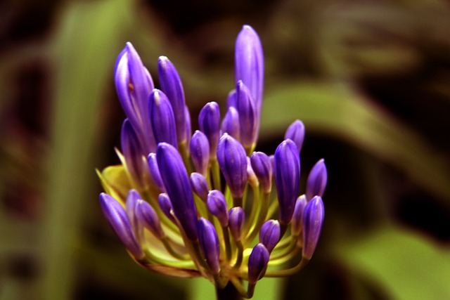 373名网球小将赛场竞逐 东莞市首届学生运动会网球比赛开赛.